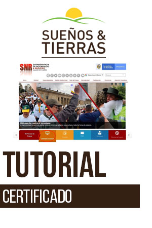 Como Generar Certificado Libertad y Tradicion en Linea