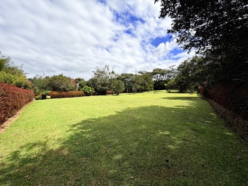 Lotes en Parcelación