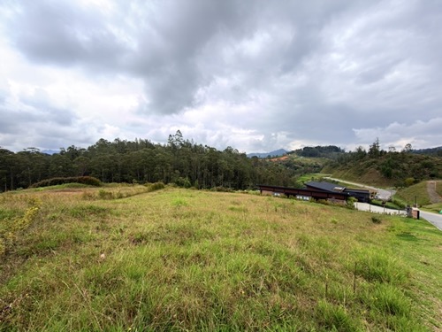 Lotes en Parcelación