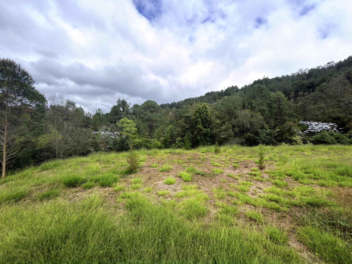 Lotes en Parcelación