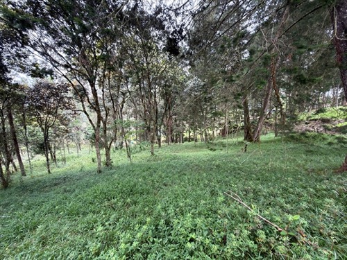 Lotes en Parcelación