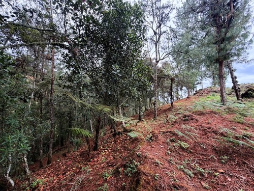 Lotes en Parcelación