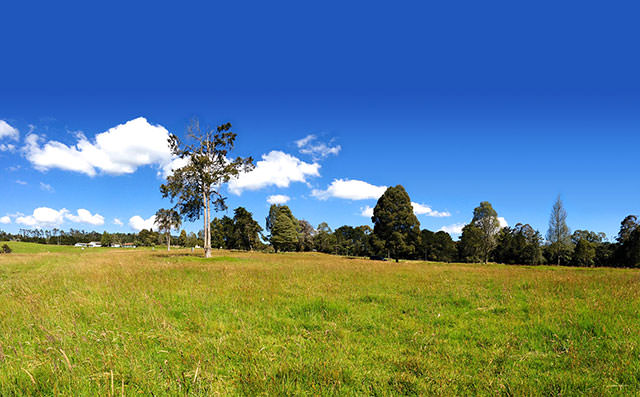 Sueños y Tierras Inmobiliaria en el Oriente Antioqueño